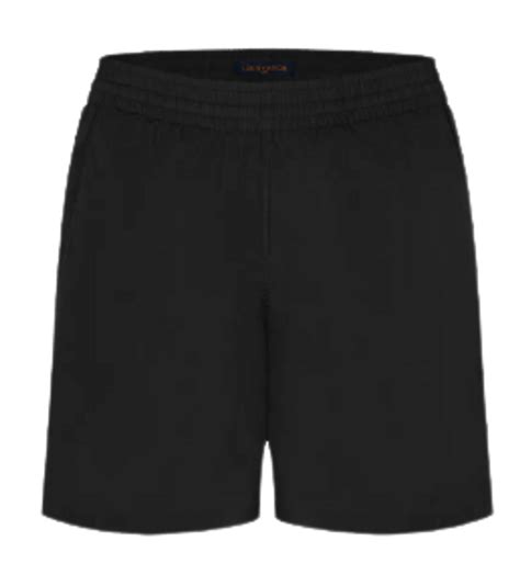 louis vuitton board shorts